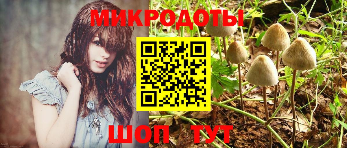 Псилоцибиновые грибы Psilocybe  Вход с VPN  Ржев  Псилоцибиновые грибы ЛСД 